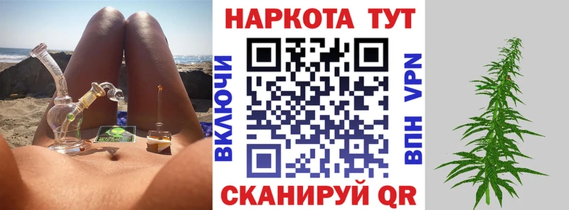 Где купить наркотики Луга mega вход  АМФЕТАМИН  Гашиш  Псилоцибиновые грибы  COCAIN  Бошки Шишки 