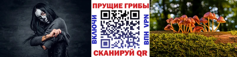 Псилоцибиновые грибы мухоморы  Луга 