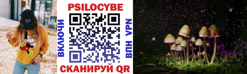 Псилоцибиновые грибы GOLDEN TEACHER Луга