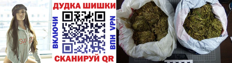 купить наркотики цена  Луга  Бошки Шишки семена 